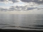 100_9862.jpg