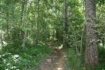 IMG_5122.jpg