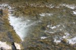 IMG_5159.jpg