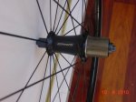 DSC00890.jpg
