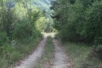 IMG_5160.jpg