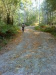 DSC00125.jpg