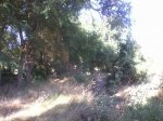 Foto0098.jpg