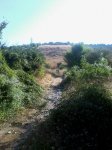 Foto0093.jpg