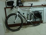 DSC01273.jpg