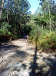 DSC00124.jpg