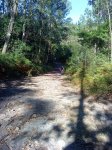 DSC00126.jpg