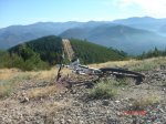 DSC08250.jpg