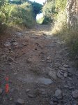 DSC08271.jpg