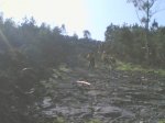 Img.0273.jpg