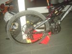 PICT0098.JPG