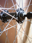 PICT0200.gif