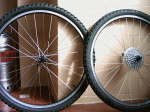 PICT0202.gif
