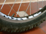 PICT0211.gif