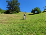 img_0593.jpg