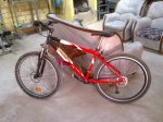 bici.jpg