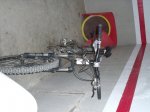 DSCF0281.jpg