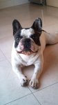 DSC00180.jpg