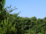 CIMG0007.jpg