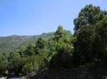 CIMG0050.jpg