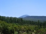 CIMG0047.jpg