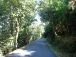 dsc01820dt.jpg