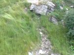 16-8-2010 068.jpg