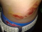 16-8-2010 067.jpg