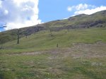 DSC04382.JPG