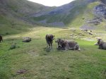 DSC04380.JPG