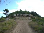 CIMG0394_low.JPG