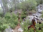150820101156.jpg