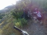 24072010984.jpg