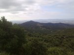 24072010977.jpg