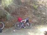 Imagen0334.jpg