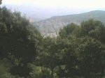 IMG0019A.jpg