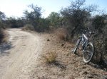 DSCF6196 - copia.JPG