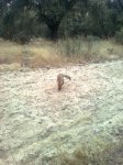 Imagen0037.jpg