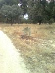 Imagen0035.jpg
