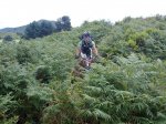 15082010459.jpg
