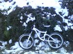DSC00409.jpg