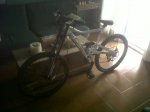 IMG00109-20100817-1648.jpg
