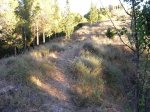DSCN0190.JPG