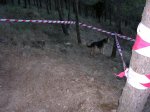 DSCN0194.JPG
