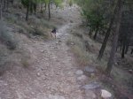 DSCN0207.jpg