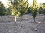 DSCN0188.JPG