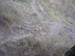 DSCN0216.jpg