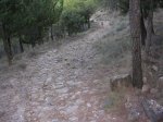 DSCN0200.JPG
