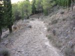 DSCN0201.JPG