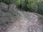 DSCN0206.JPG